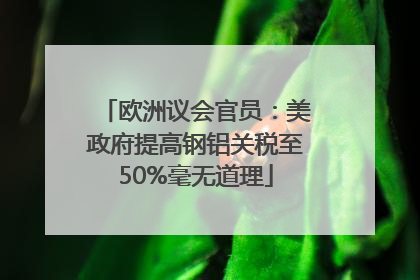 欧洲议会官员：美政府提高钢铝关税至50%毫无道理